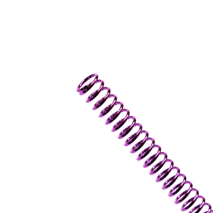 AAP-01 "Ion" Recoil Spring